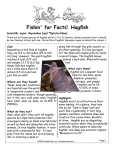 Fishin` for Facts: Hagfish