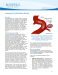 Aneurysm Embolization: Coiling