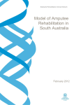 Model Of Amputee Rehabilitation In South Australia