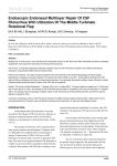 Endoscopic Endonasal Multilayer Repair Of CSF Rhinorrhea With