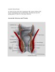 Anorectal Abscess and Fistula