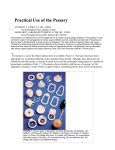 Practical Use of the Pessary