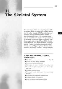 11 The Skeletal System - Society of Nuclear Medicine