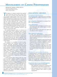 management of canine paraphimosis