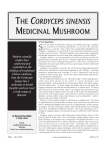 the cordyceps sinensis medicinal mushroom