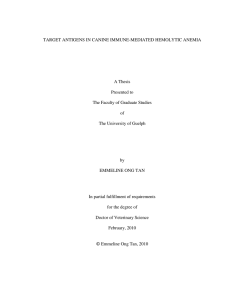 TARGET ANTIGENS IN CANINE IMMUNE-MEDIATED