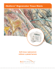 AlloDerm® Regenerative Tissue Matrix - S