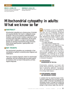 Mitochondrial cytopathy in adults: What we know so far