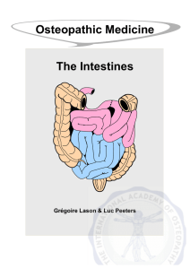 Osteopathic Medicine The Intestines - E-books