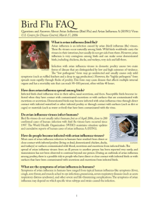 Bird Flu FAQ - ScholarWorks