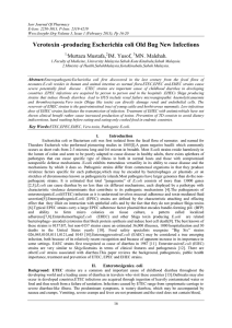 Verotoxin -producing Escherichia coli Old Bug New Infections