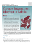 Chronic, Intermittent Diarrhea in Rabbits - Sawnee