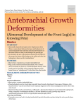 Antebrachial Growth Deformities