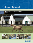 Equine Research - Veterinary Extension