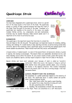 Quadriceps Strain