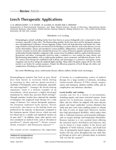 Leech Therapeutic Applications - Indian Journal of Pharmaceutical