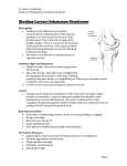 Sinding-Larsen-Johansson Syndrome