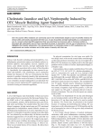 Cholestatic Jaundice and IgA Nephropathy Induced by OTC Muscle