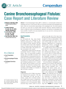 Canine Bronchoesophageal Fistulas: Case Report and Literature