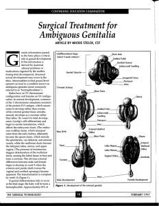 Surgical Treatment for Ambiguous Genitalia