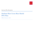 Anthem Blue Cross Blue Shield PPO Plan