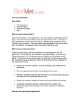 Acral Lick Dermatitis