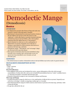 Demodectic Mange - Milliken Animal Clinic