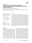 Pathogenic and opportunistic free-living amoebae: Acanthamoeba