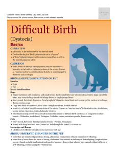 Difficult Birth (Dystocia)