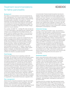 Treatment recommendations for feline pancreatitis