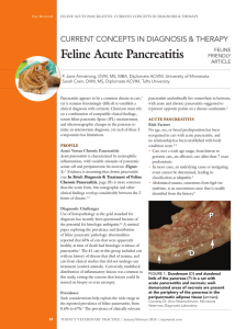 Pancreatitis in Cats (PDF Available)