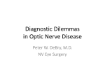 Diagnostic Dilemmas in Optic Nerve Disease