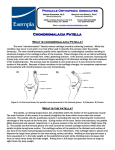 Chondromalacia Patella - Holy Rosary Healthcare