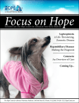 Leptospirosis - Hope Advanced Veterinary Center