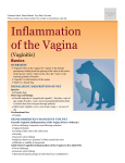 Inflammation of the Vagina (Vaginitis)