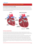 DEL-25675 LVAD Patient Info Booklet CO-11.indd