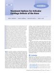 Treatment Options for Articular Cartilage Defects of the Knee (2005)