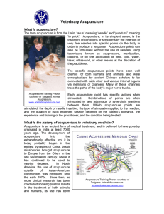 Veterinary Acupuncture FAQs