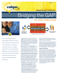 Bridging the GAP