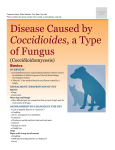 Disease Caused by Coccidioides, a Type of Fungus