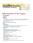 Inflammation of the Vagina