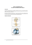 knee arthroscopy patient information sheet