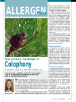 Colophony - Dermatitis Academy