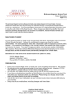 Echocardiogram Stress Test