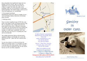 Senility in older cats. - Elands Veterinary Clinic