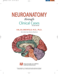 Neuroanatomy through Clinical Cases, Second Edition