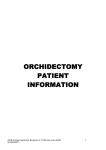 What is an Orchidectomy