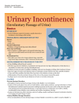 Urinary Incontinence - Glendale Animal Hospital