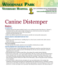 Canine Distemper - Woodvale Park Veterinary Hospital