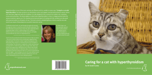 Caring for a cat with hyperthyroidism